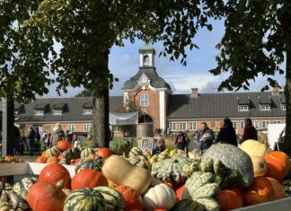 Herbstmarkt Molfsee 2026