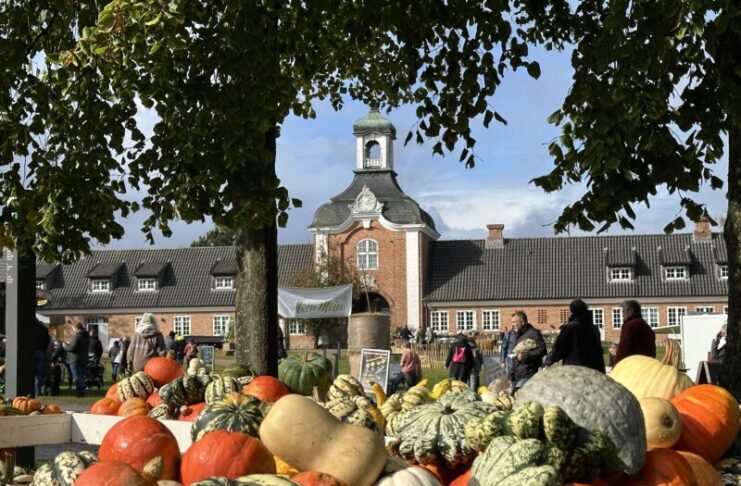 Herbstmarkt Molfsee 2026: 130 Ausstellende und längste Tafel Molfsees Herbstmarkt Molfsee 2026