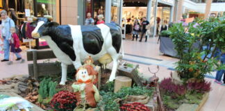 Herbst- & Bauernmarkt CITTI.PARK Kiel
