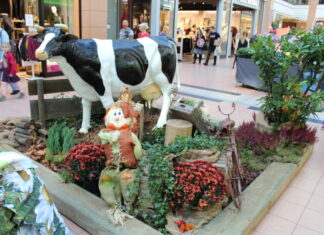 Herbst- und Bauernmarkt im CITTI-PARK Kiel: Events im Oktober 2026 Herbst- & Bauernmarkt CITTI.PARK Kiel