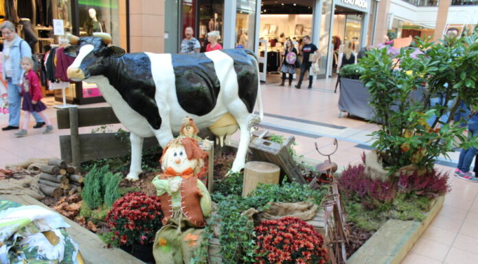 Herbst- & Bauernmarkt CITTI.PARK Kiel